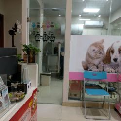 洪星1998寵物店詳細信息 電話、地址、價格、營業(yè)時間及圖片