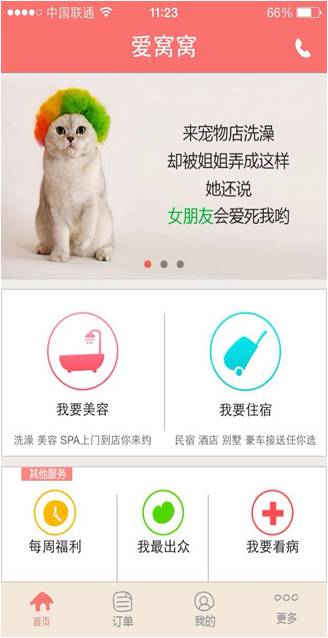 論顏值的重要性 美女創(chuàng)業(yè)者不需要商業(yè)計劃書？—寵物服務視角的重新審視