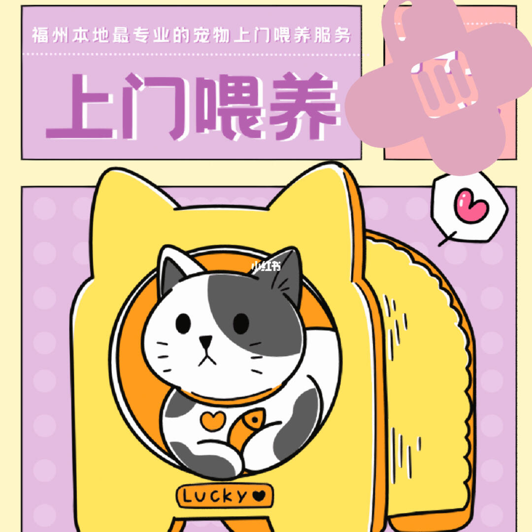 春節(jié)期間福州寵物上門喂養(yǎng)服務接單忙，用心守護毛孩子過年團圓